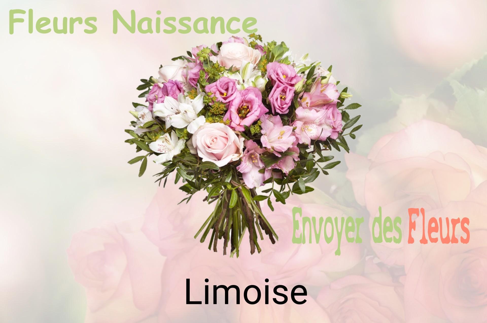 Bouquet de fleurs de naissance livré à Limoise